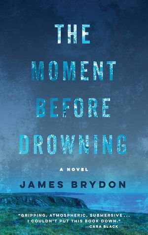 Buy The Moment Before Drowning at Amazon