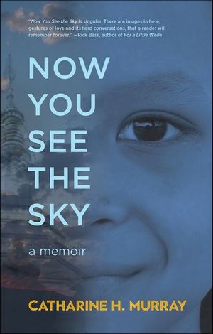 Now You See the Sky