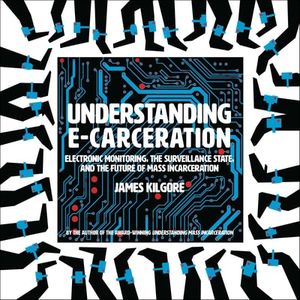 Understanding E-Carceration