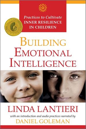 Building Emotional Intelligence