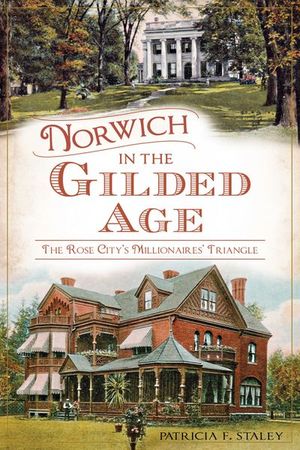 Buy Norwich in the Gilded Age at Amazon