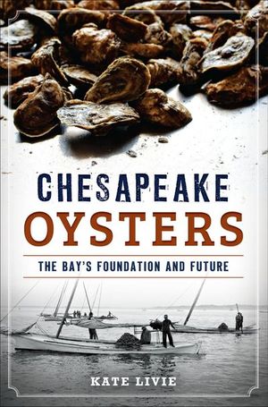 Chesapeake Oysters