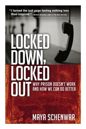 Buy Locked Down, Locked Out at Amazon