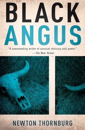 Buy Black Angus at Amazon