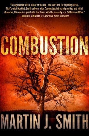 Buy Combustion at Amazon