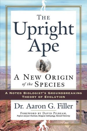 The Upright Ape
