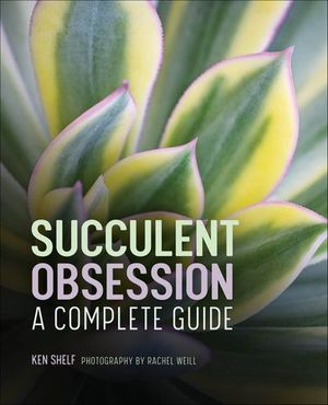 Succulent Obsession