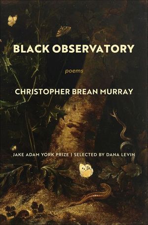 Buy Black Observatory at Amazon