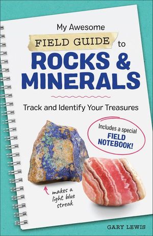 My Awesome Field Guide to Rocks & Minerals