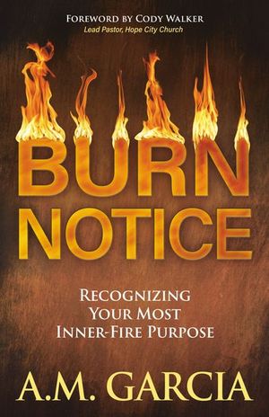 Buy Burn Notice at Amazon