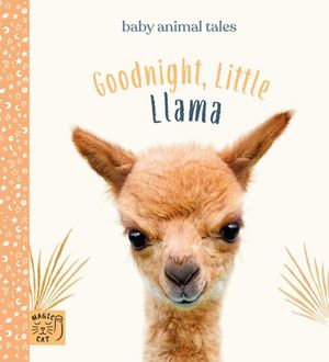 Goodnight, Little Llama
