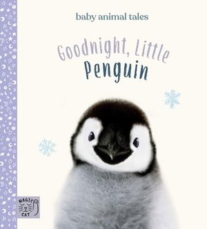 Goodnight, Little Penguin