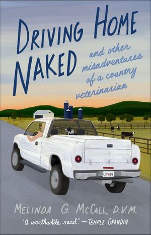 Driving Home Naked