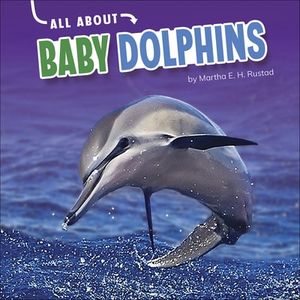 All About Baby Dolphins
