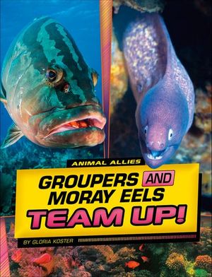 Groupers and Moray Eels Team Up!