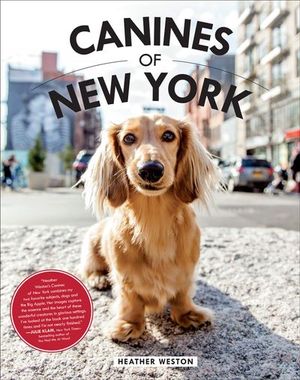 Buy Canines of New York at Amazon