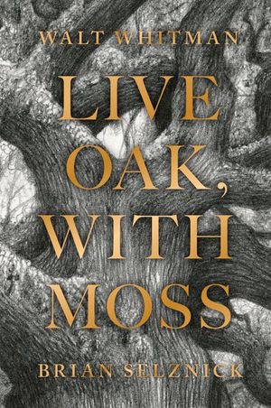 Buy Live Oak, with Moss at Amazon