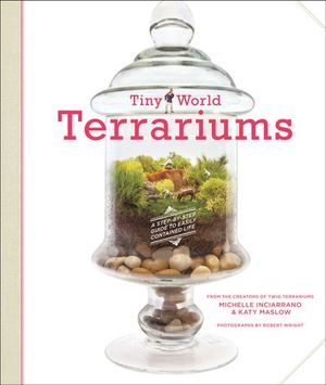 Buy Tiny World Terrariums at Amazon