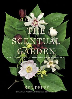 Buy The Scentual Garden at Amazon