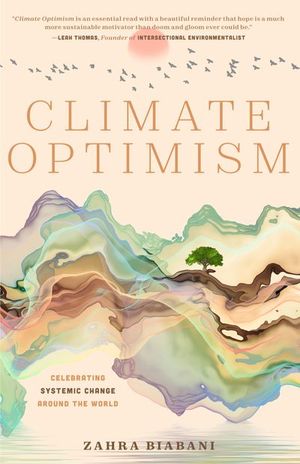Buy Climate Optimism at Amazon
