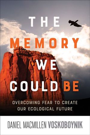 Buy The Memory We Could Be at Amazon