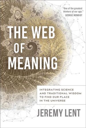 Buy The Web of Meaning at Amazon