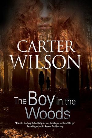 Buy The Boy in the Woods at Amazon