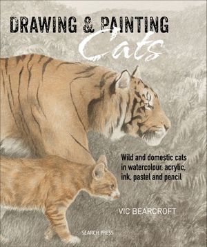 Drawing & Painting Cats
