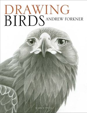 Buy Drawing Birds at Amazon