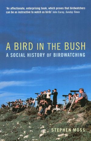Buy A Bird in the Bush at Amazon