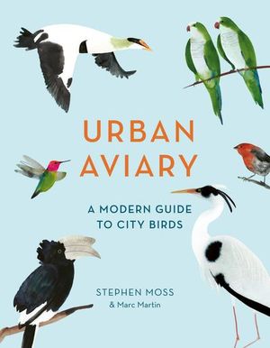 Buy Urban Aviary at Amazon