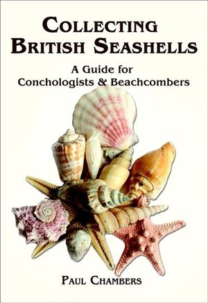 Buy British Seashells at Amazon