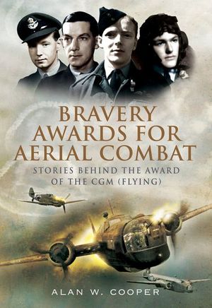 Buy Bravery Awards for Aerial Combat at Amazon