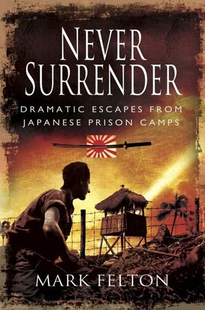 Buy Never Surrender at Amazon