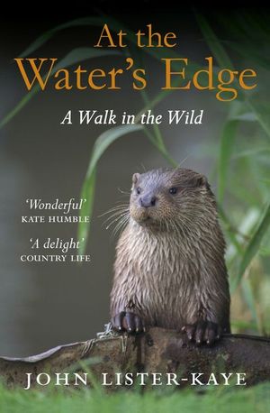 Buy At the Water's Edge at Amazon