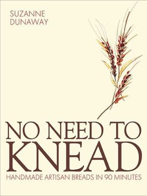 Buy No Need to Knead at Amazon