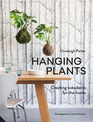 Buy Hanging Plants at Amazon