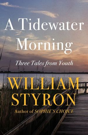 Buy A Tidewater Morning at Amazon