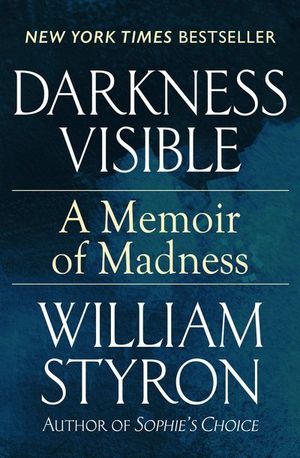 Buy Darkness Visible at Amazon