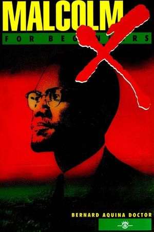 Malcolm X For Beginners