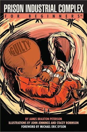 Prison Industrial Complex Beginners