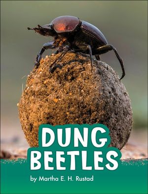 Dung Beetles