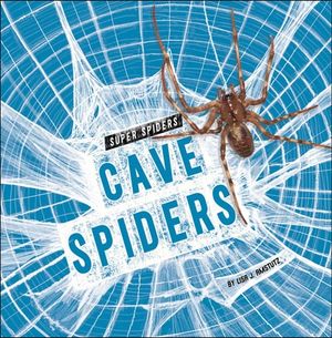 Cave Spiders