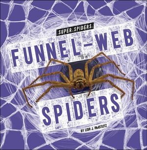 Funnel-Web Spiders