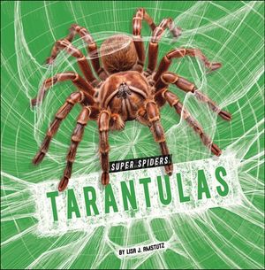 Tarantulas