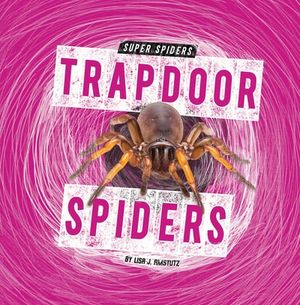 Trapdoor Spiders