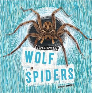 Wolf Spiders