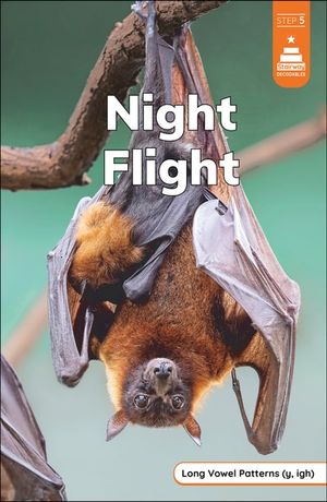 Night Flight