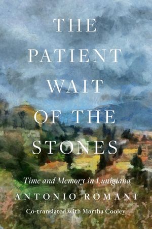 The Patient Wait of the Stones