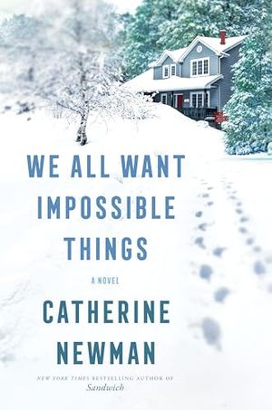 Buy We All Want Impossible Things at Amazon